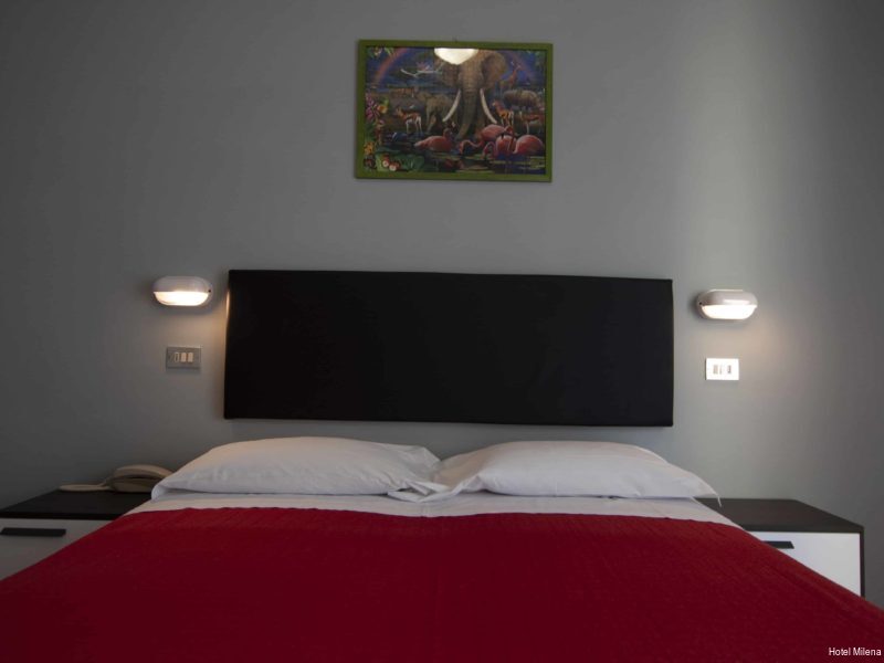 Фото Hotel Milena