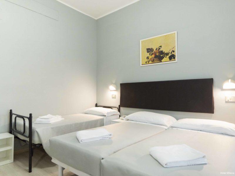 Фото Hotel Milena