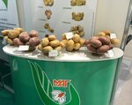Molianov Agro Group (mikrorayon Lebed, Zheleznodorozhnaya ulitsa, 69А), agricultural enterprise