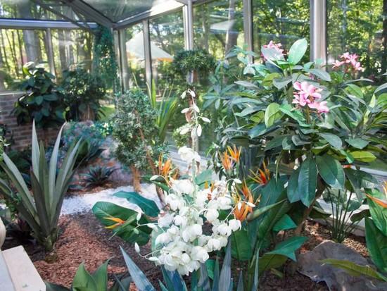 Фото Royal Falke Resort & SPA