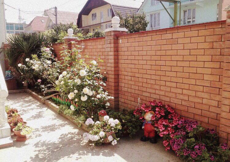 Фото Арарат