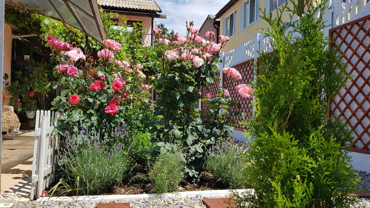 Фото Три Флага