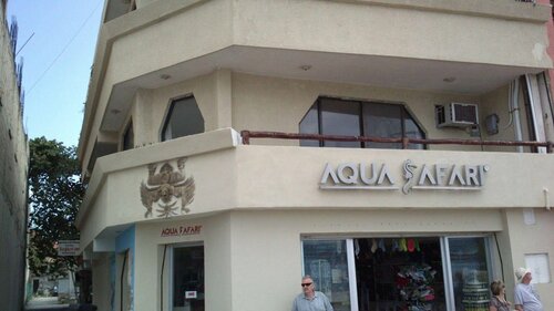 Гостиница Safari Inn в Косумели