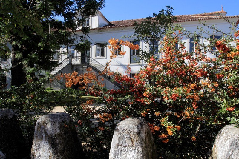 Фото Casa de Mogofores