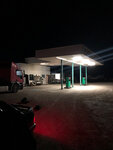 Gas Station (село Льговское, улица Мичурина, 1М), gasolinera