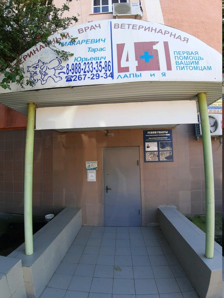 Veterinary clinic Veterinarnaya klinika 4+1, Sochi, photo