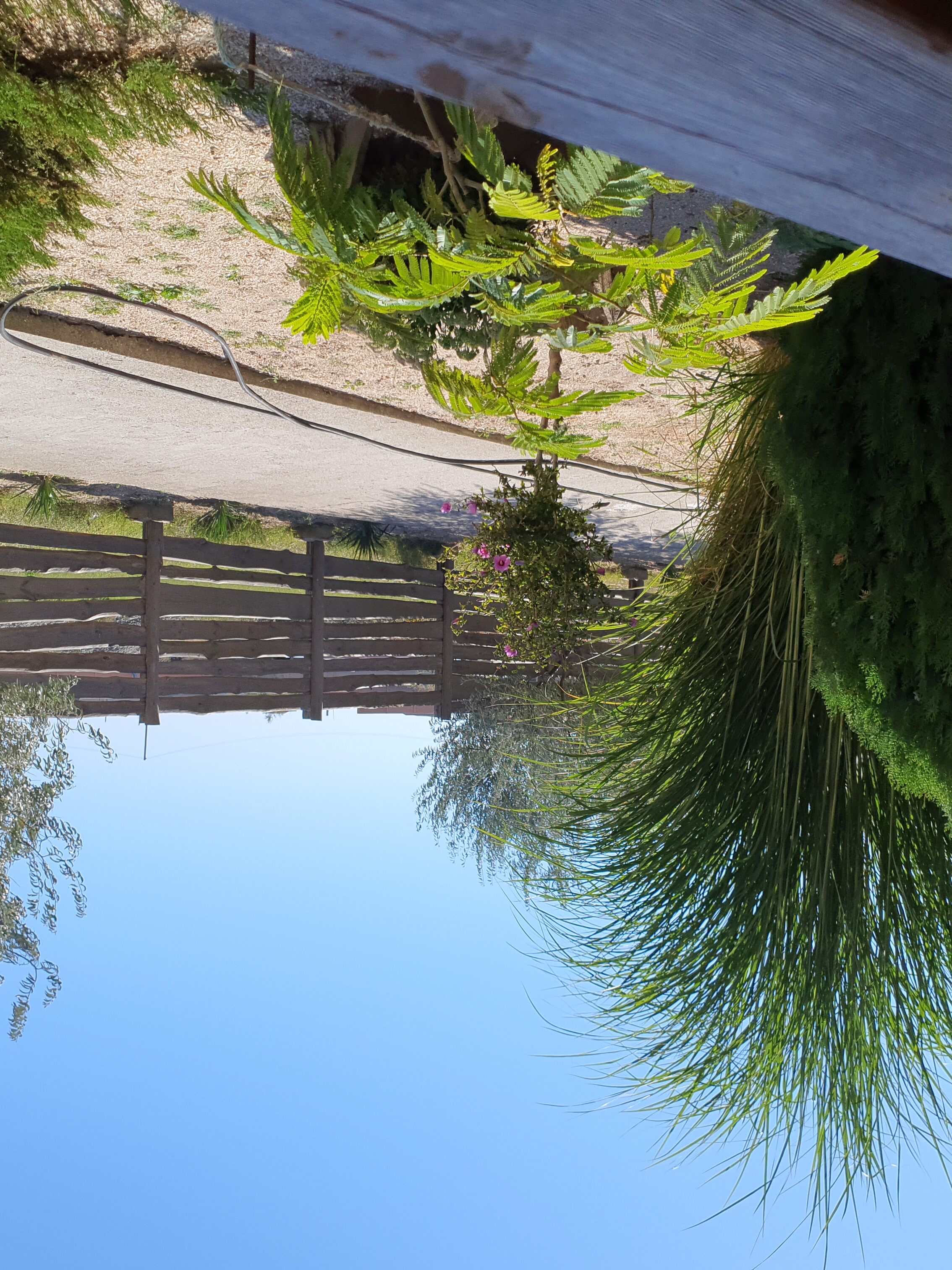 Фото Терра Теана