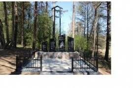 Братская могила (Pskov Region, Sebezhsky District, munitsipalnoye obrazovaniye Sebezhskoye, derevnya Cherneya), monument, memorial