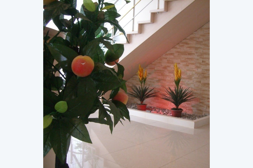 Фото Амелия