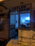 Ceylan Oto Lastik (Taşyaka Mah., 136. Sok., No:13/A, Fethiye, Muğla), jant ve lastikçiler  Fethiye'den