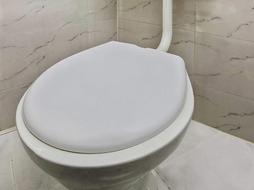 Фото Oyo 26905 Hotel Aalishan