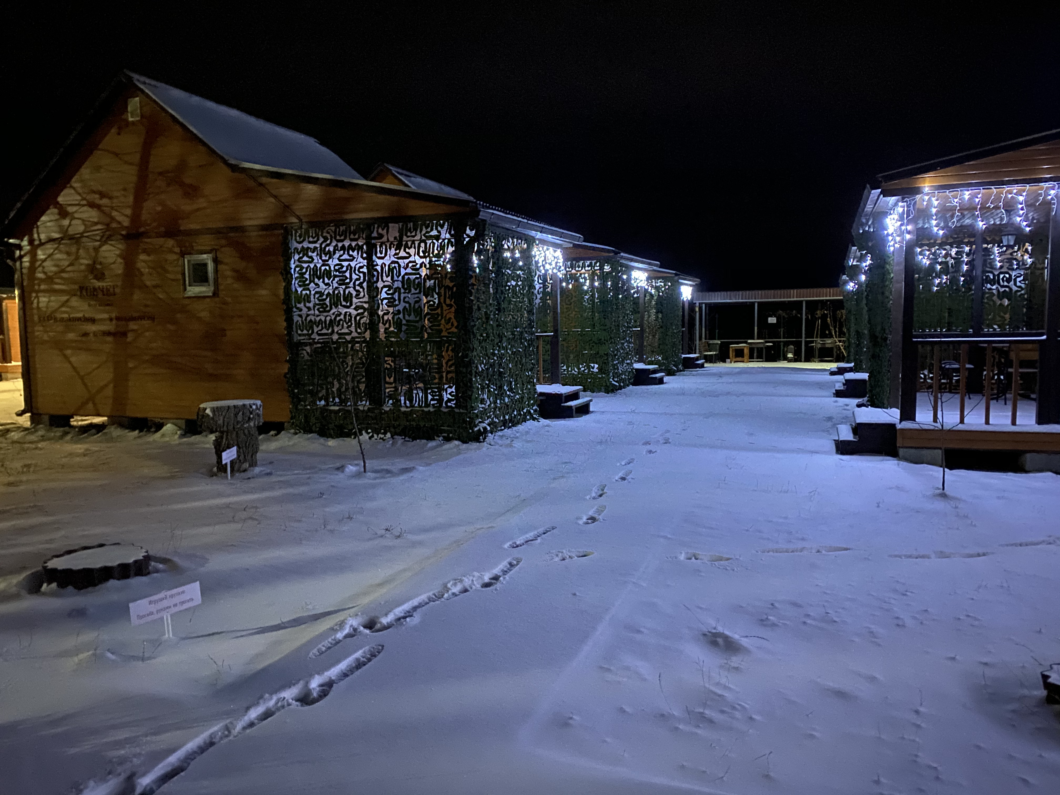 Фото Ковчег