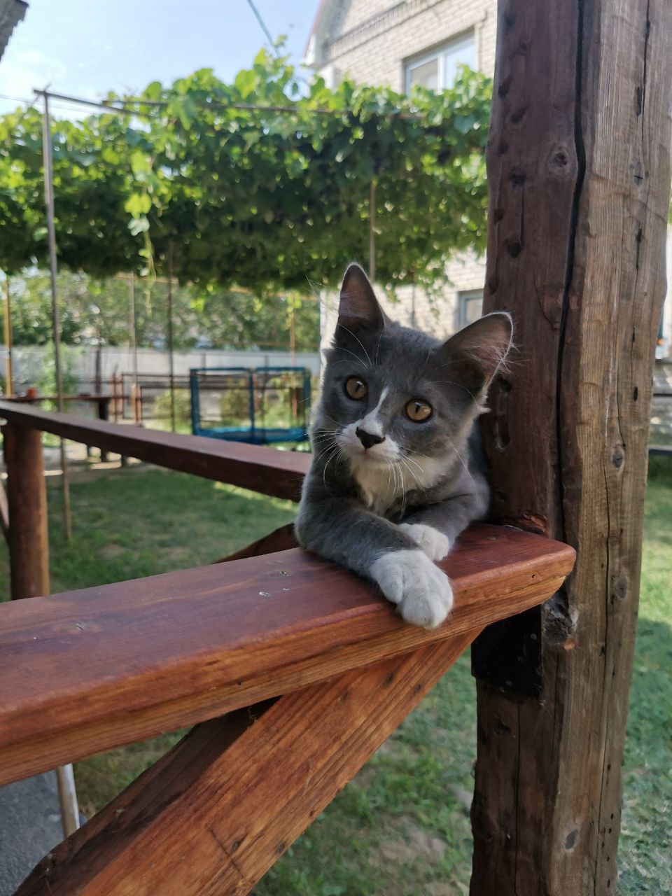 Фото Берег Благи