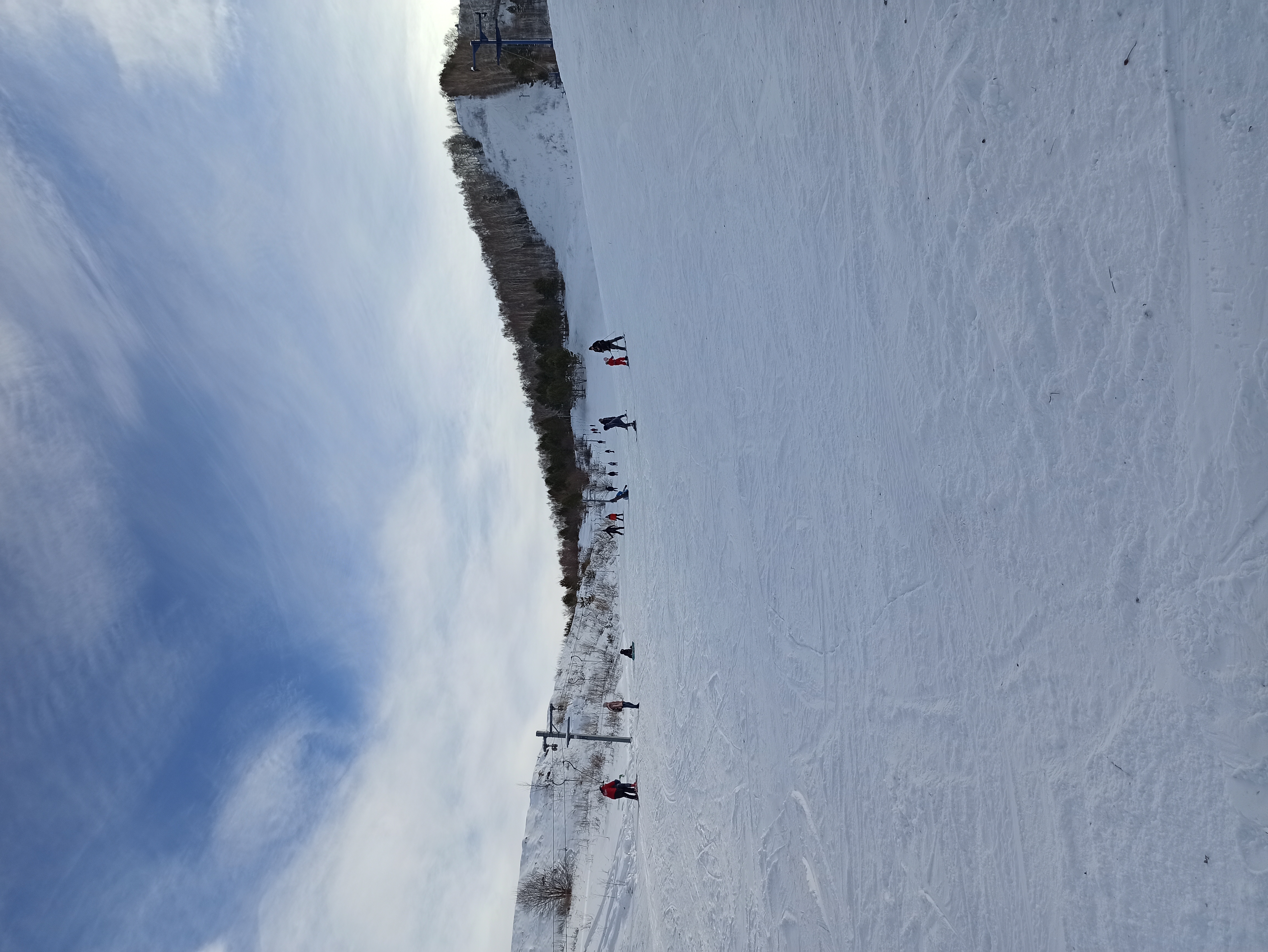 Фото Яковка