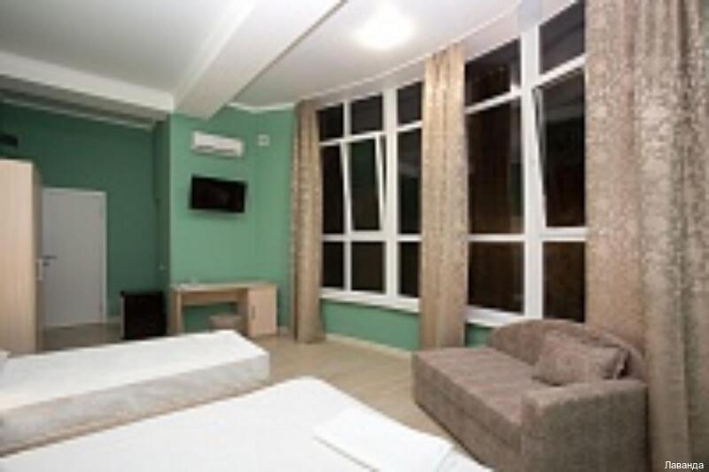 Фото Лаванда