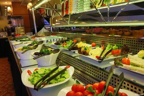 Гостиница Arya Hotel в Адапазары