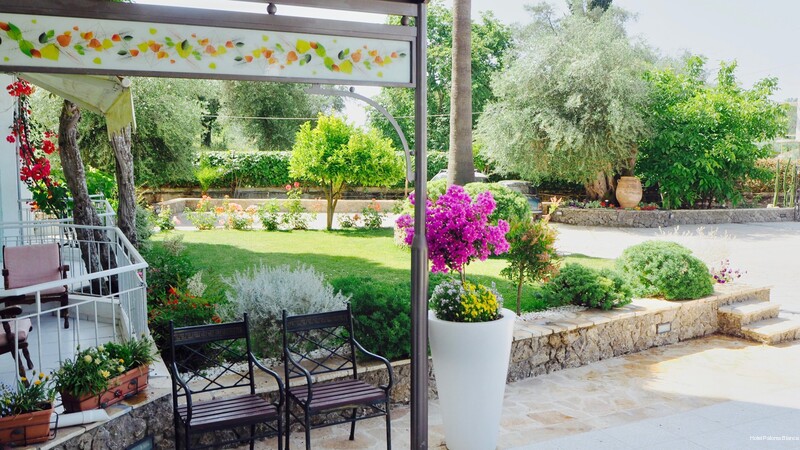 Фото Paloma Blanca Hotel