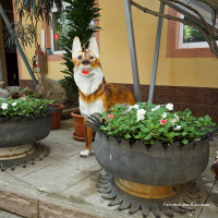 Фото Виктория