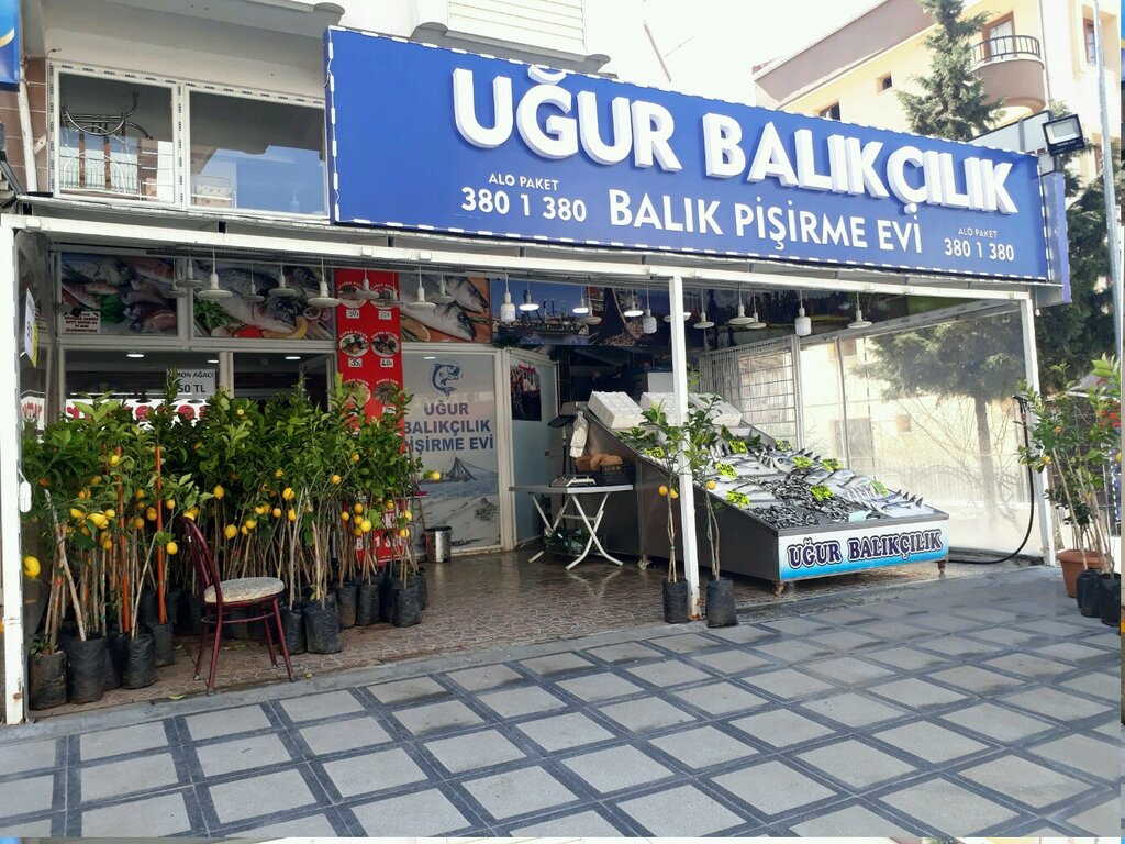 الأسماك والمأكولات البحرية Dalyan Fishing ، أنقرة، صورة