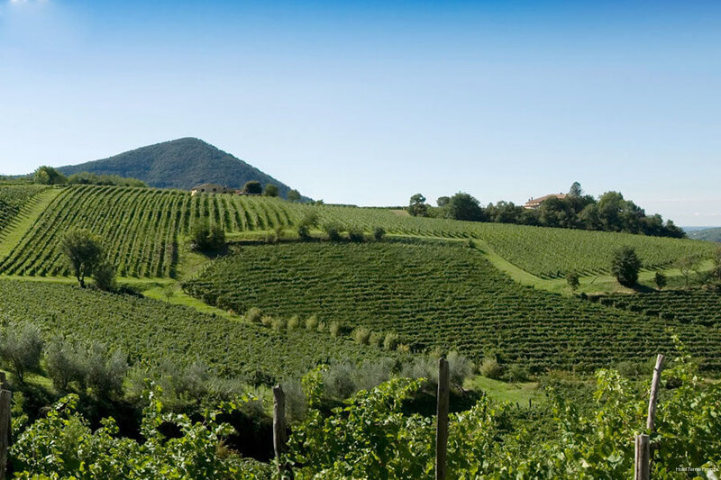 Фото 172684330506