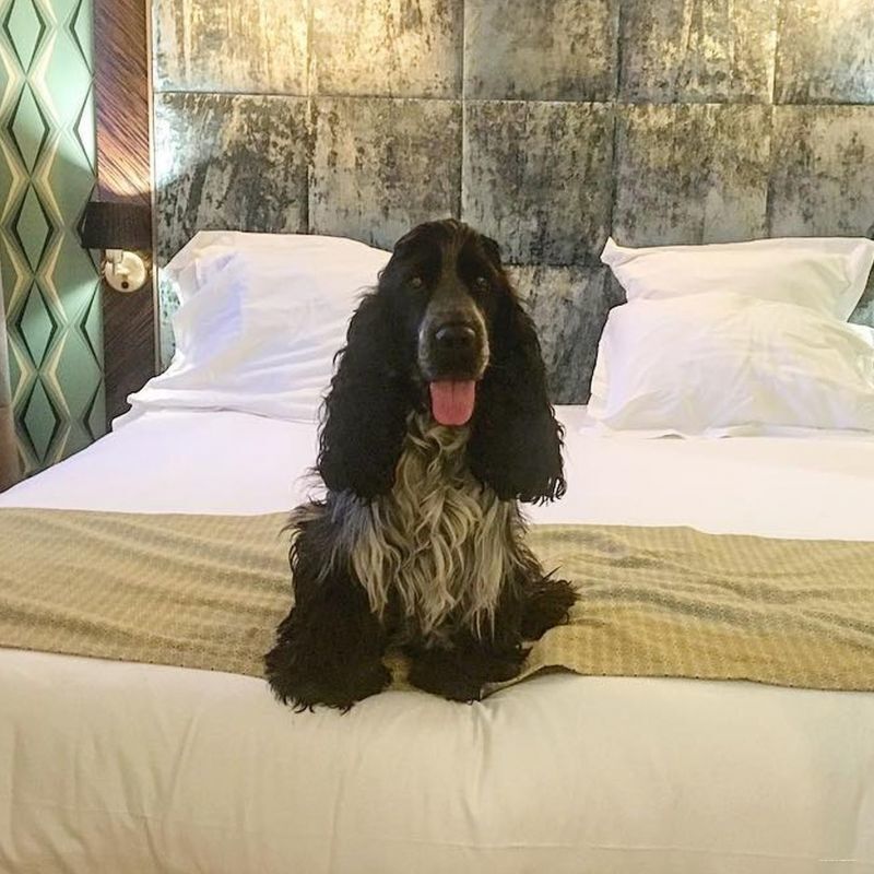 Фото The Jay Hotel by HappyCulture