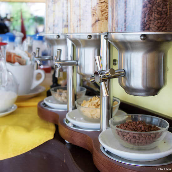 Фото Hotel Elvia