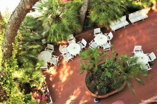 Фото Hotel Brown