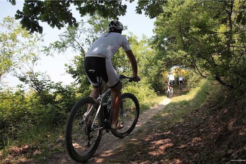 Фото Hotel Europa Monetti