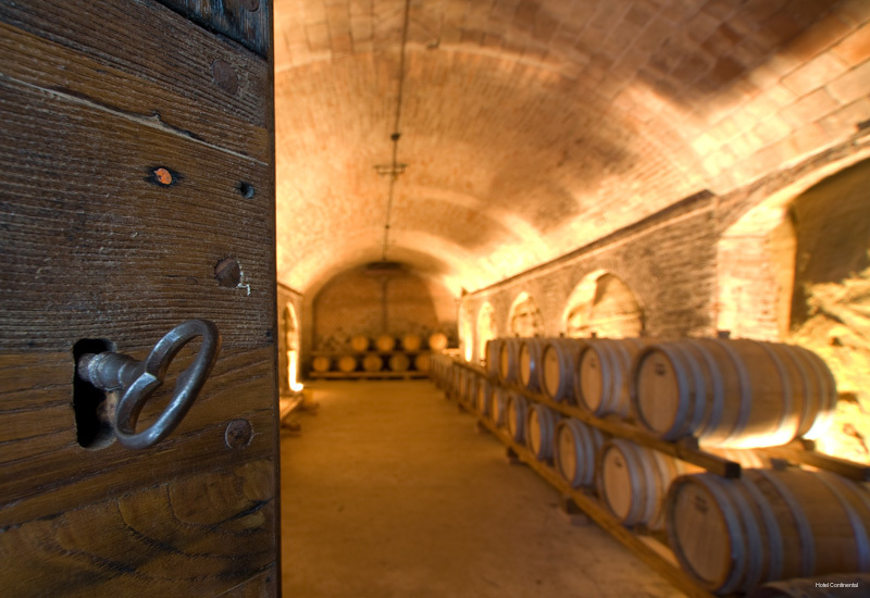 Фото 95573760939