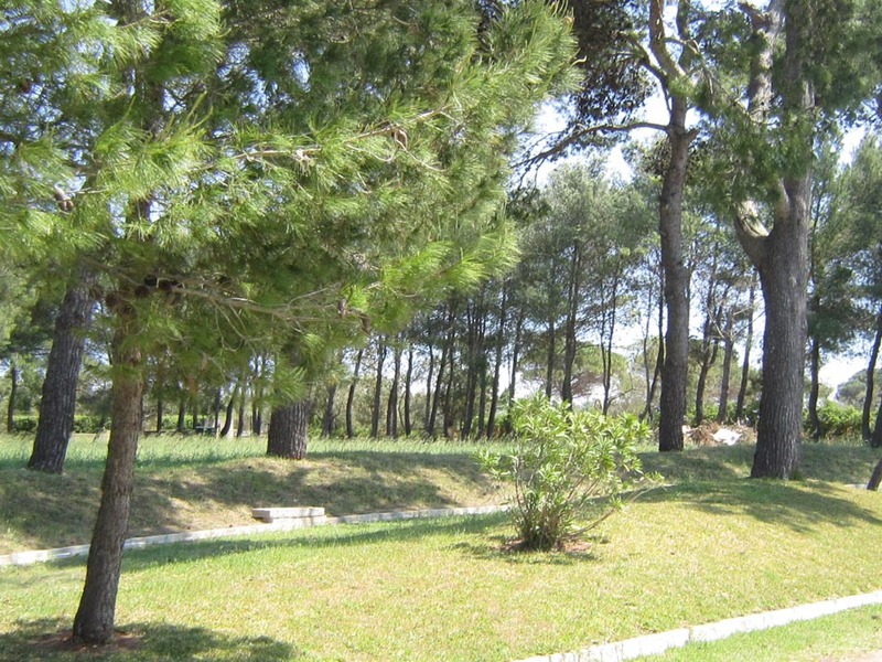 Фото Hotel Masseria Fabrizio