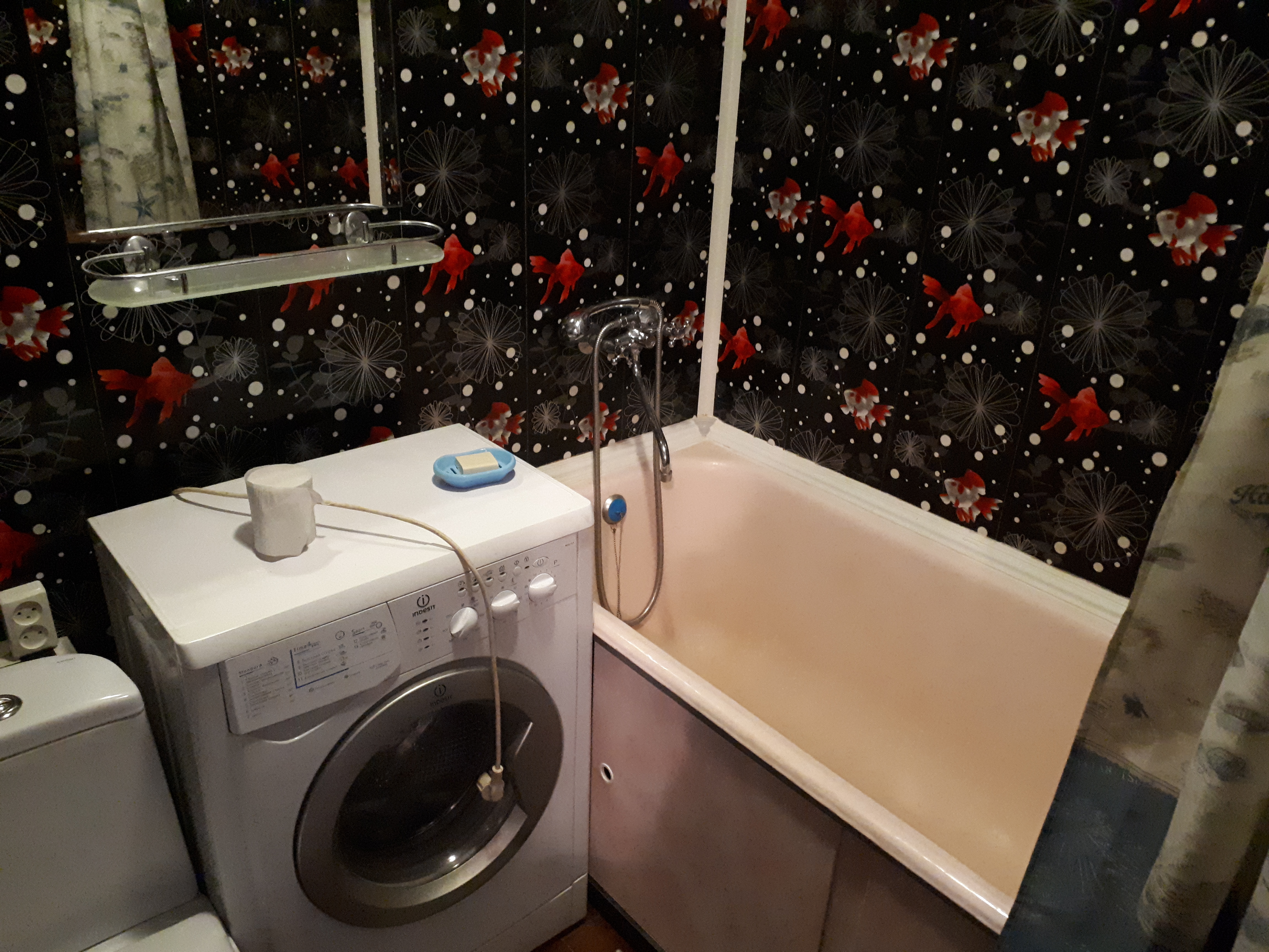 Фото Домашний