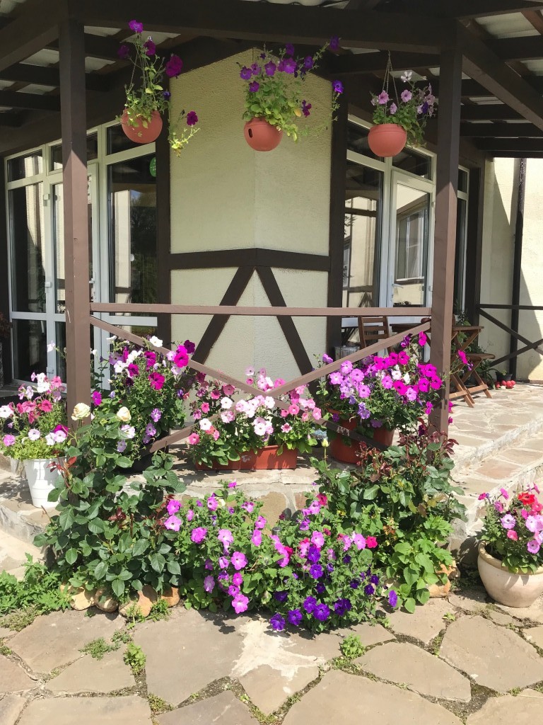 Фото Хуторок