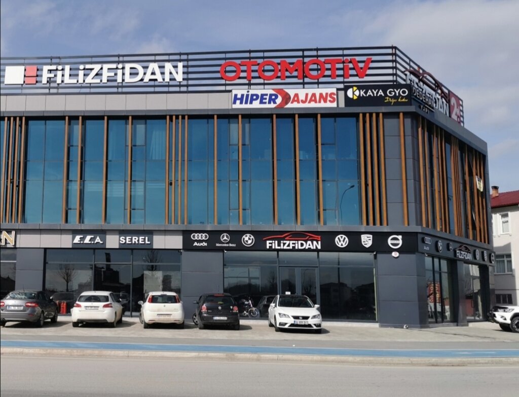 Car dealership Filizfidan Automotive, Serdivan, photo