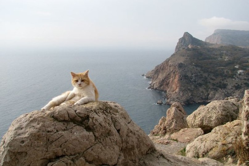 Фото Fiolent Village Angetur