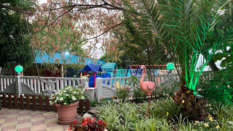 Фото Фламинго