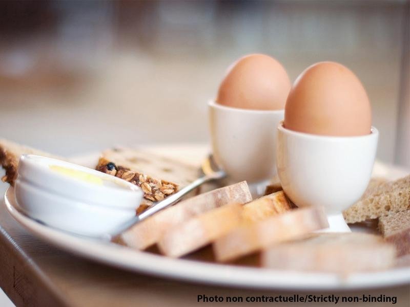 Фото Ibis Kassel Melsungen