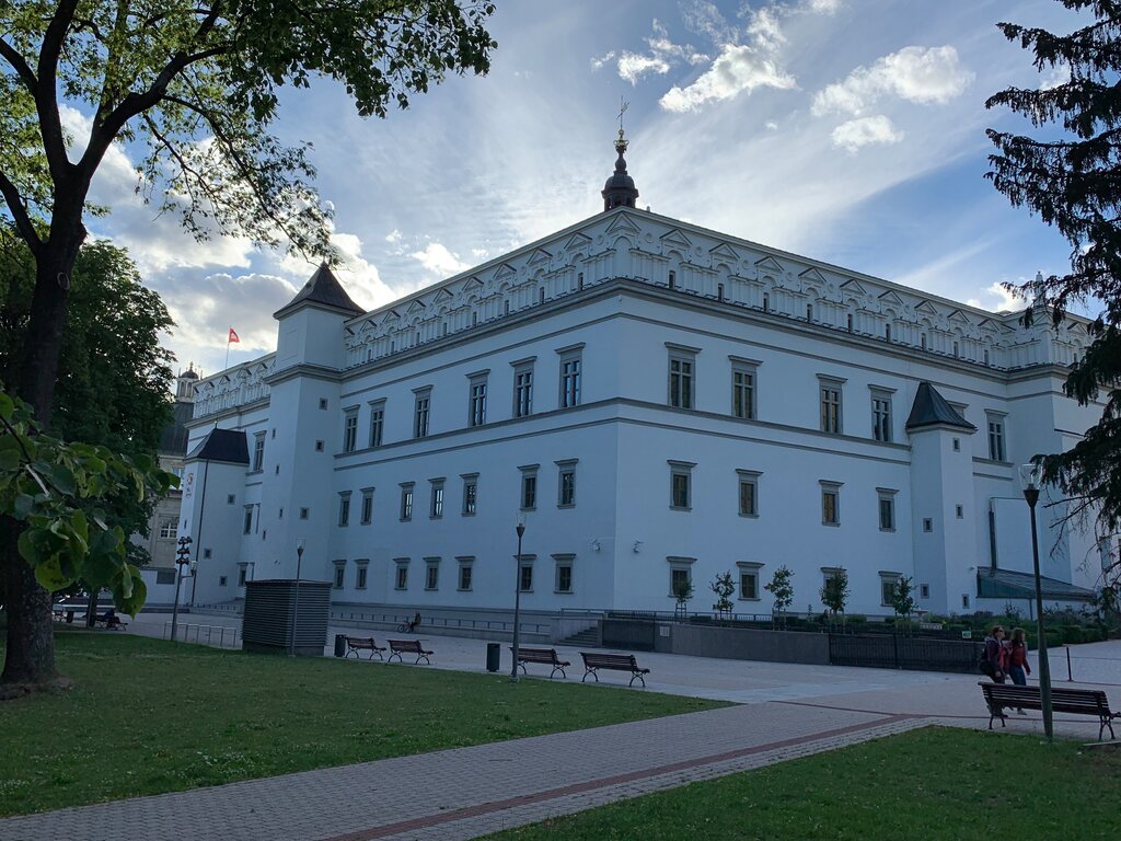 معلم جذب سياحي Palace of the Grand Dukes of Lithuania ، فيلنيوس، صورة