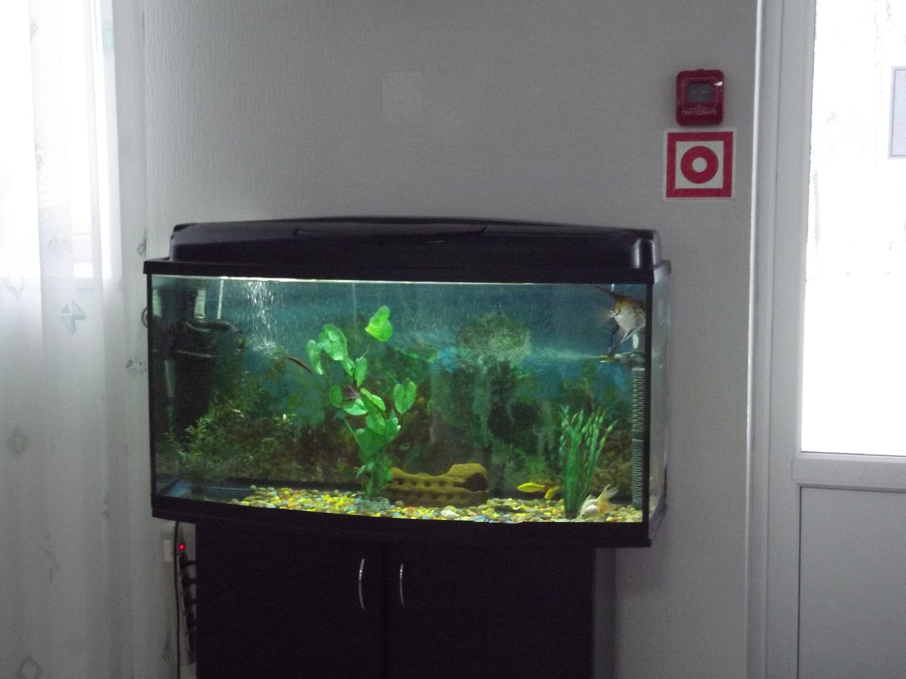 Фото Здоровье