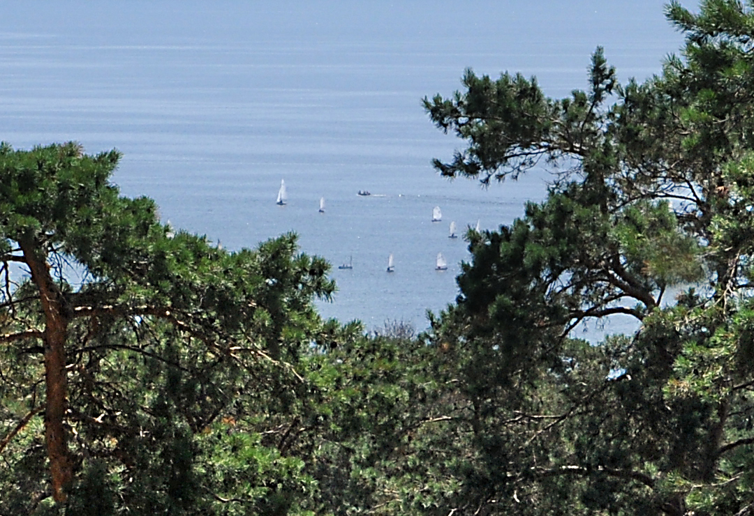 Фото Надежда