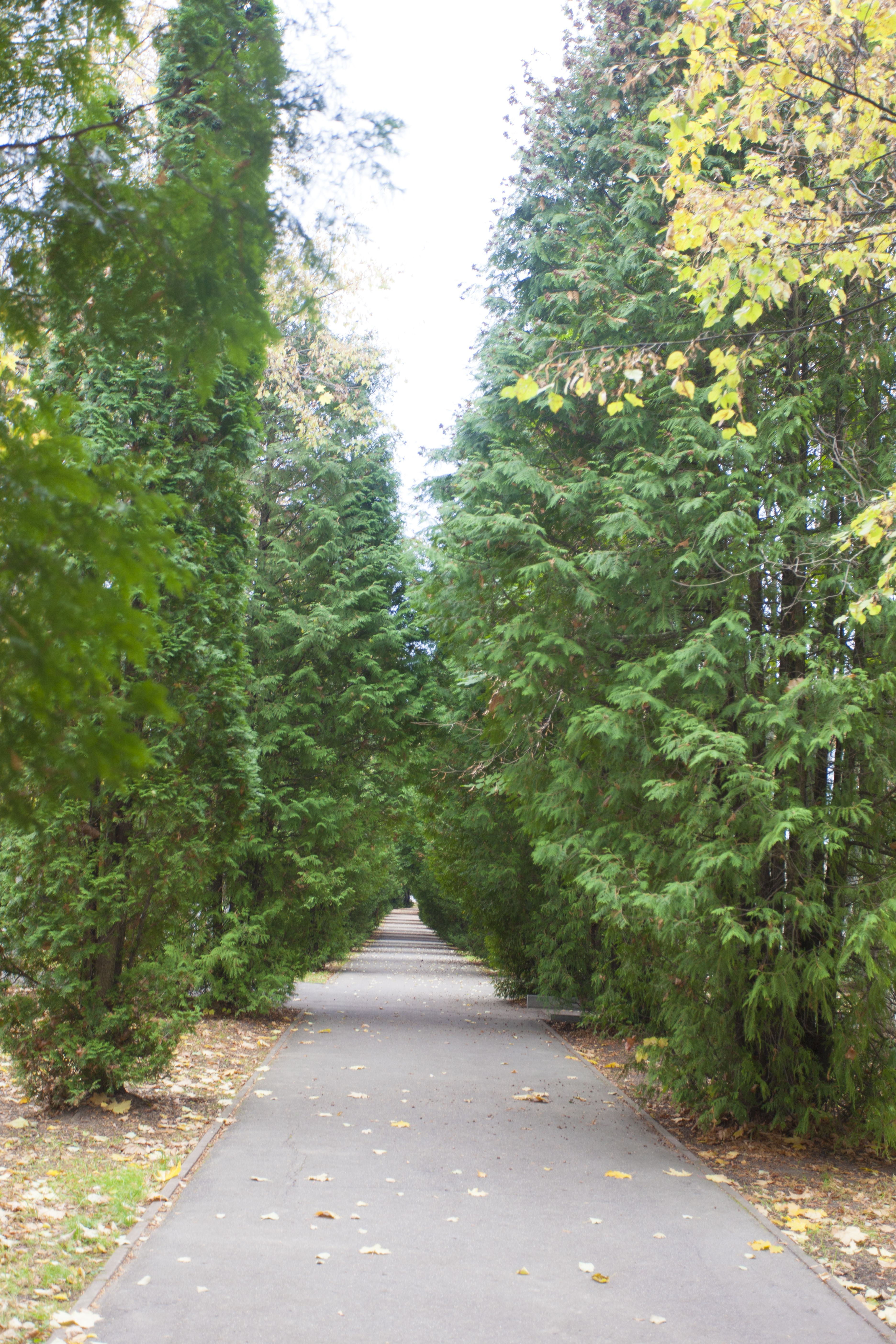 Фото Центр социальной геронтологии Чайковский