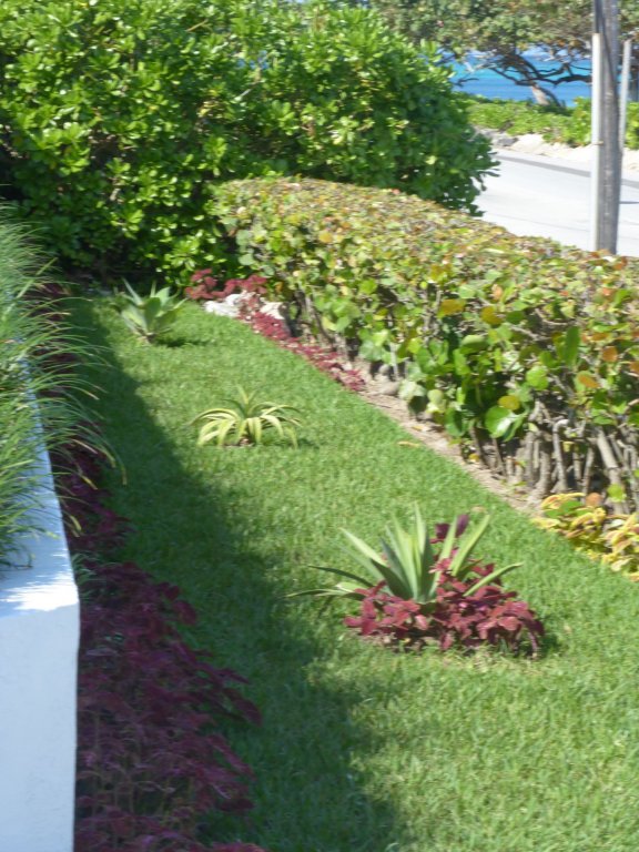 Фото Villa North Winds Orange Hill