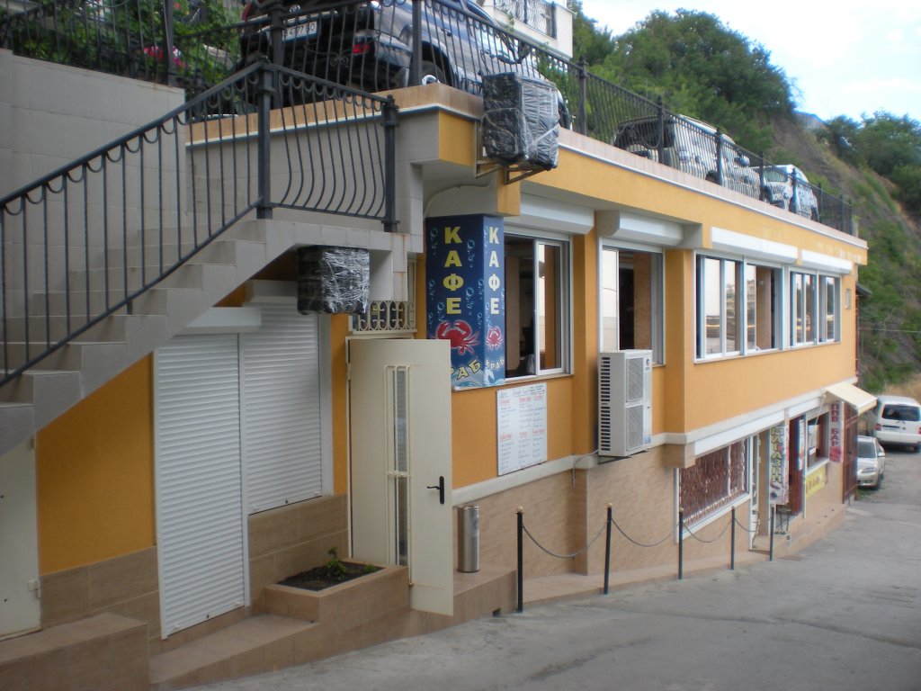 Фото Кокос эллинг