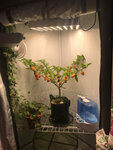 Sornyakoff.net (Dnepropetrovsky Drive, 7) ، الأسمدة