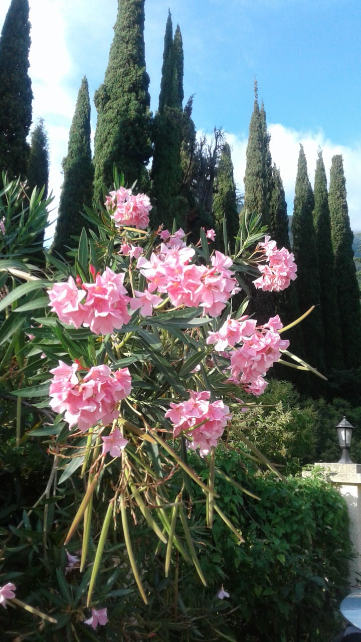 Фото Лазурный берег