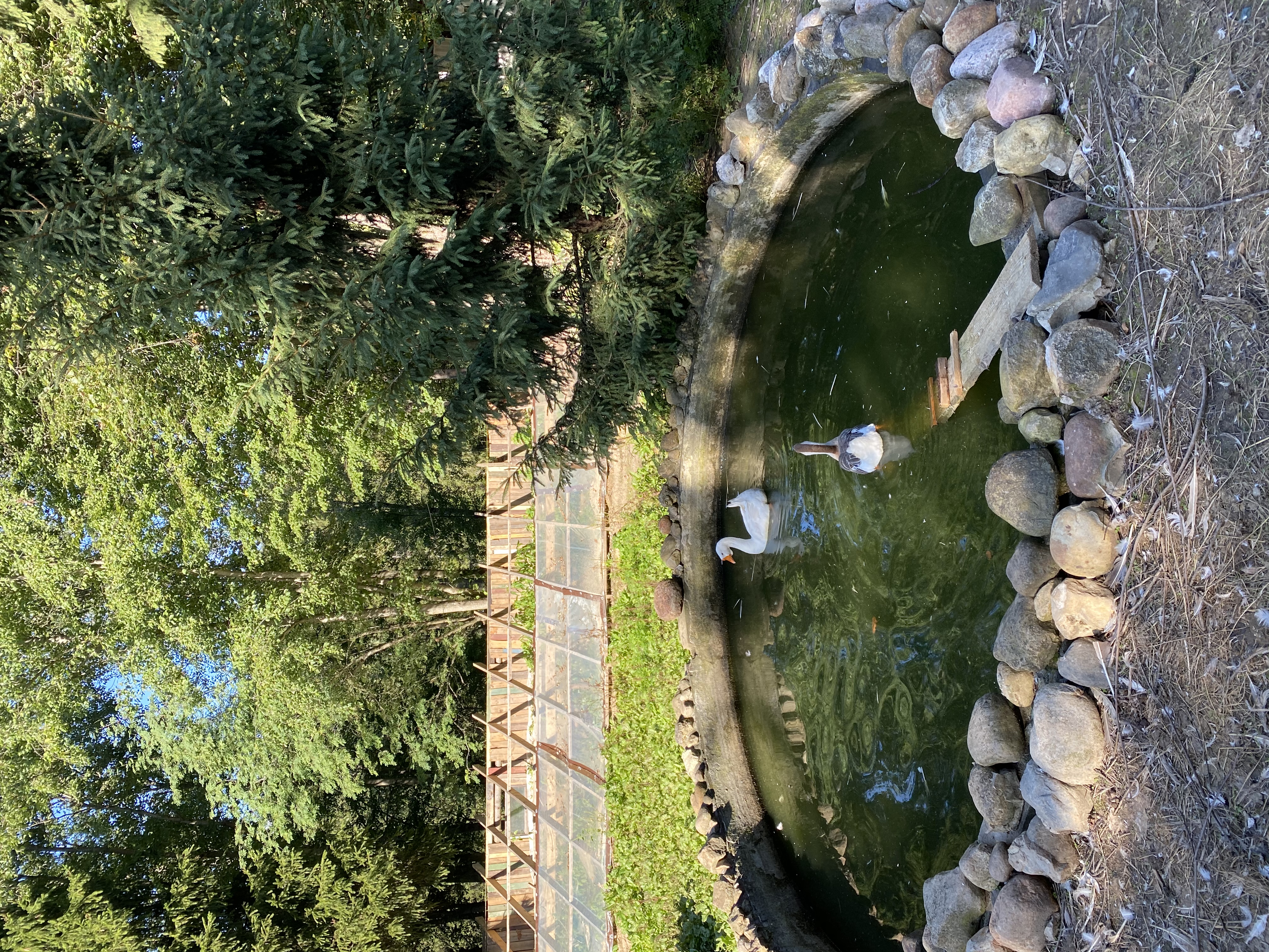 Фото ЭтноуСАДьба ЗдРАвоМыслящих