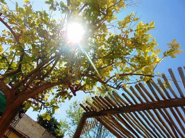 Фото Estacion Mendoza Hostel