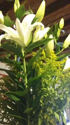 Фото Ristorante Pizzeria al Mondo