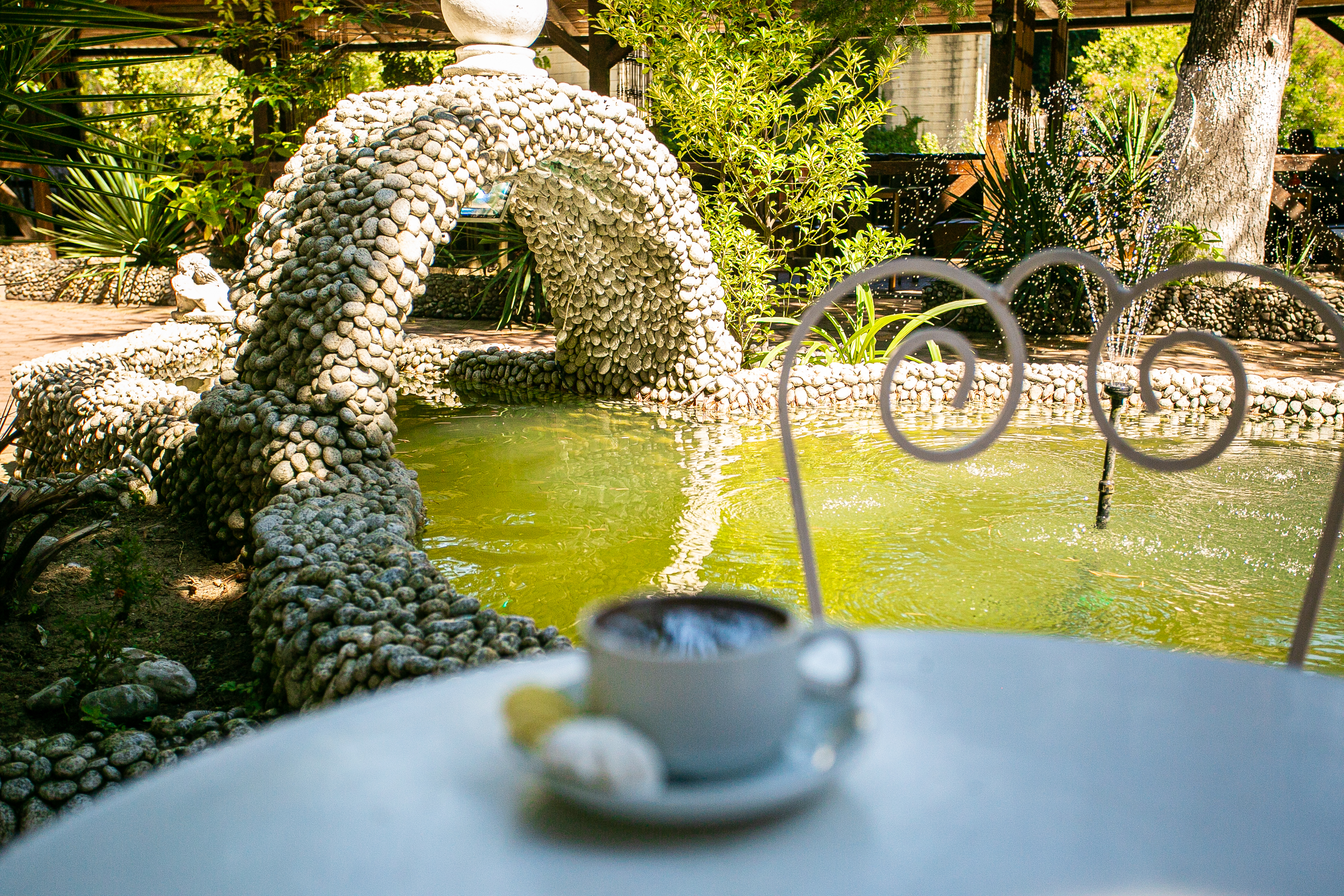 Фото Гости Кавказа