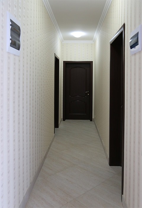 Фото Невские звезды