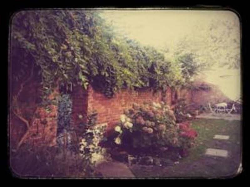 Фото Jorvik House